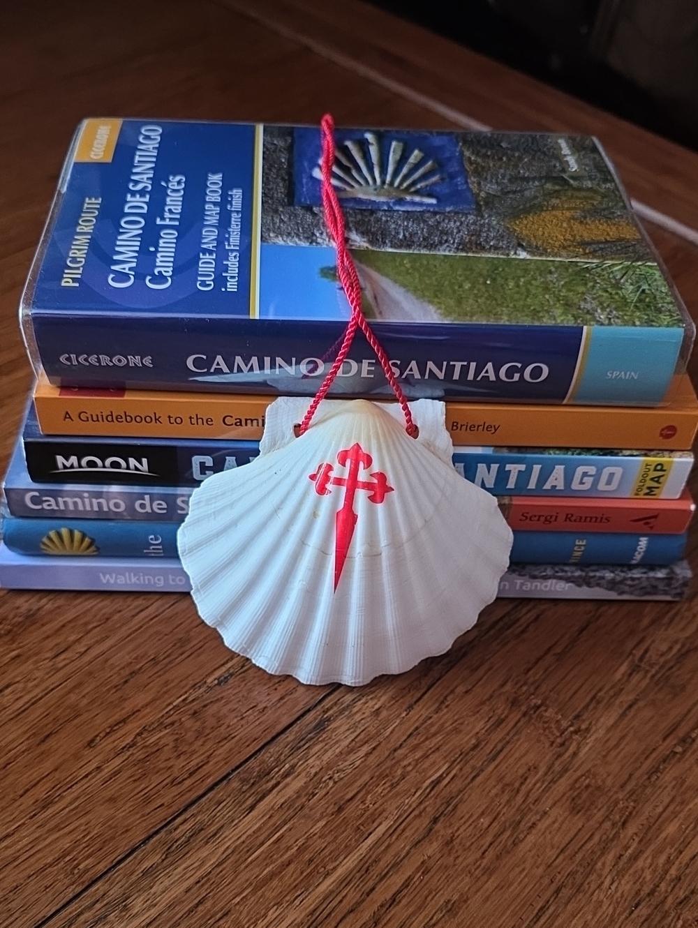 Camino De Santiago Pilgrimage Books (6 Total), Guidebooks, Maps, Like New!